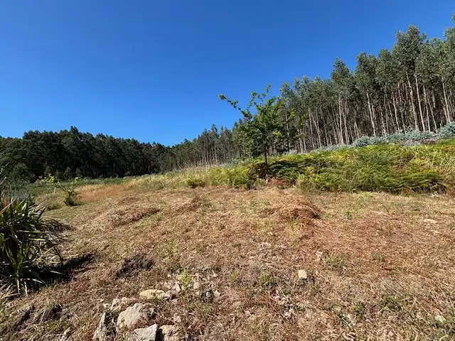 Casa o chalet en venta en Ferrol con Jardín privado, Trastero y Horno