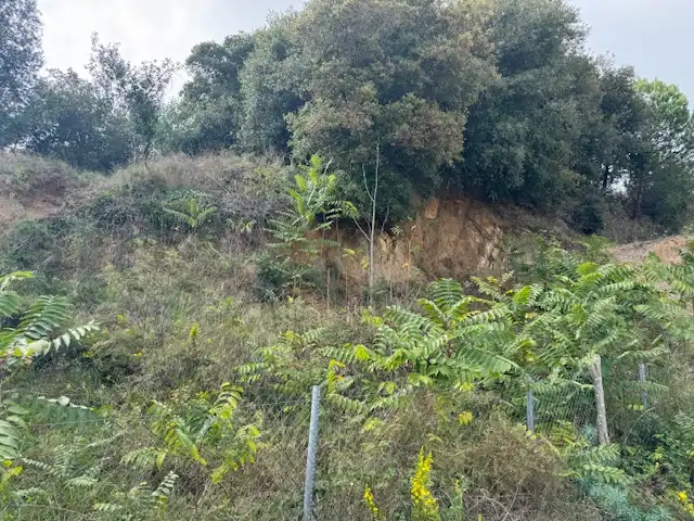 Wohnbaugrundstück zum Verkauf in Antonio Torrent I Martori, S/N, imagen 13