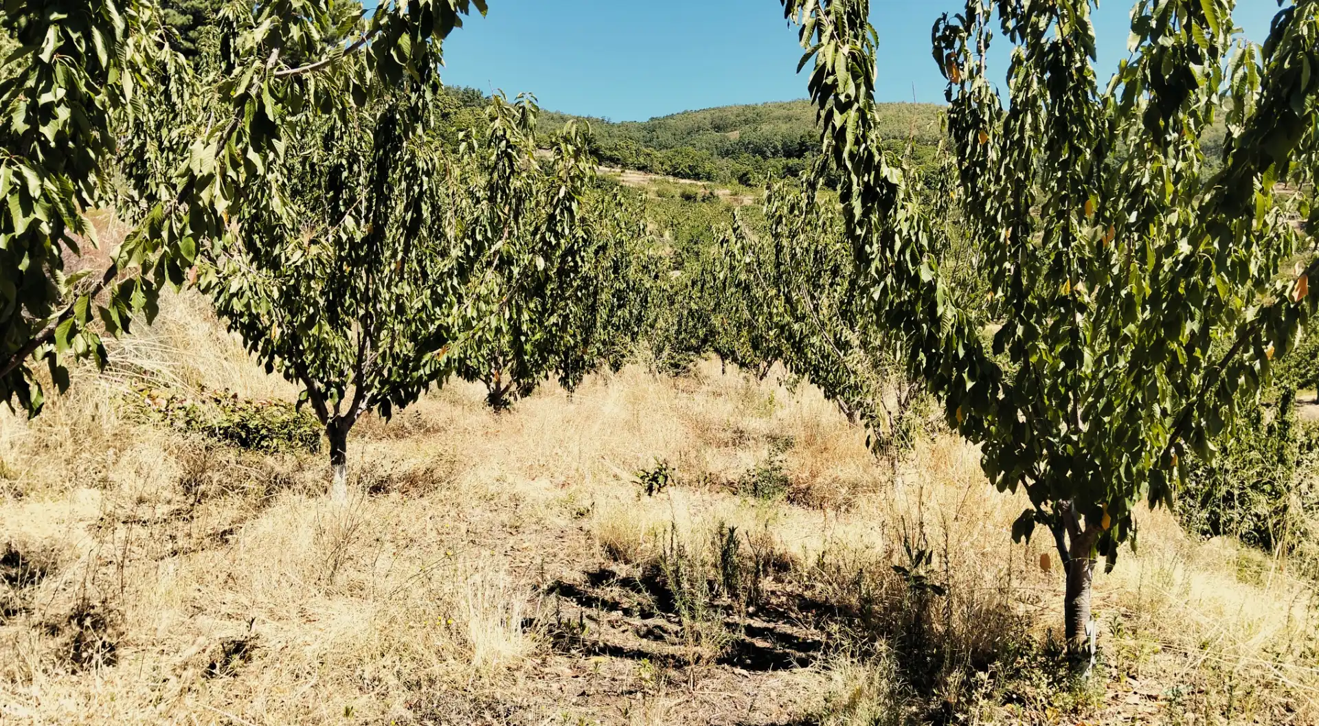 Terreni e lotti in vendita a N/A, imagen 20