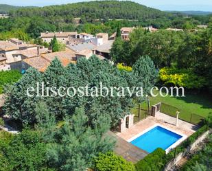 Jardí de Casa o xalet en venda en Saus, Camallera i Llampaies amb Terrassa i Piscina