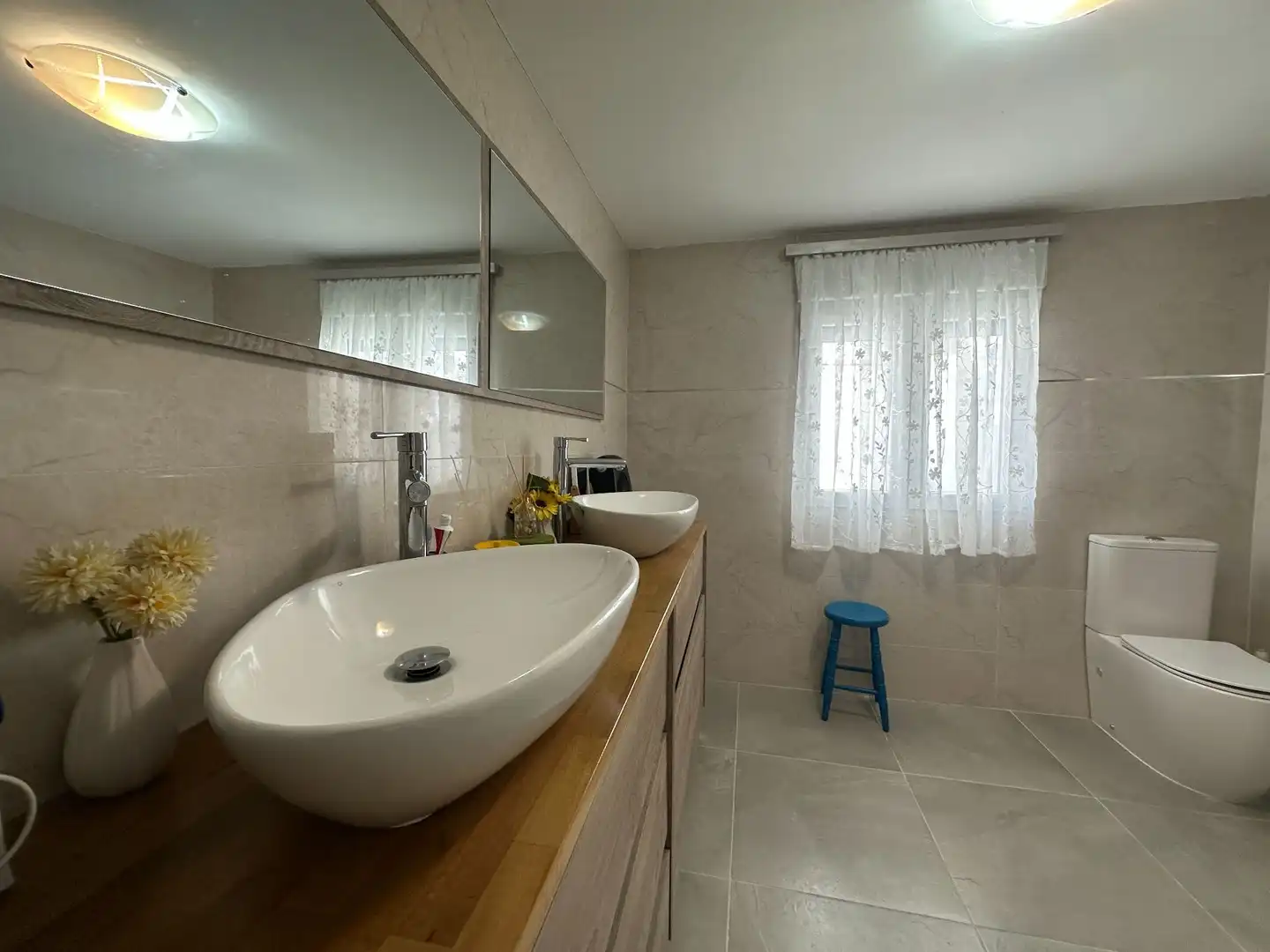 Country house for sale in Centro, imagen 16