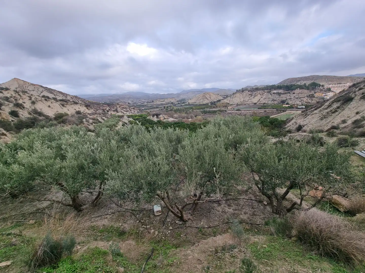 Rural land for sale in Calle Camino Ancho 4, imagen 33