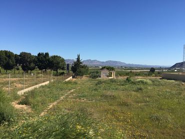 Terreny residencial en venda a Calle Murcia M Pinar