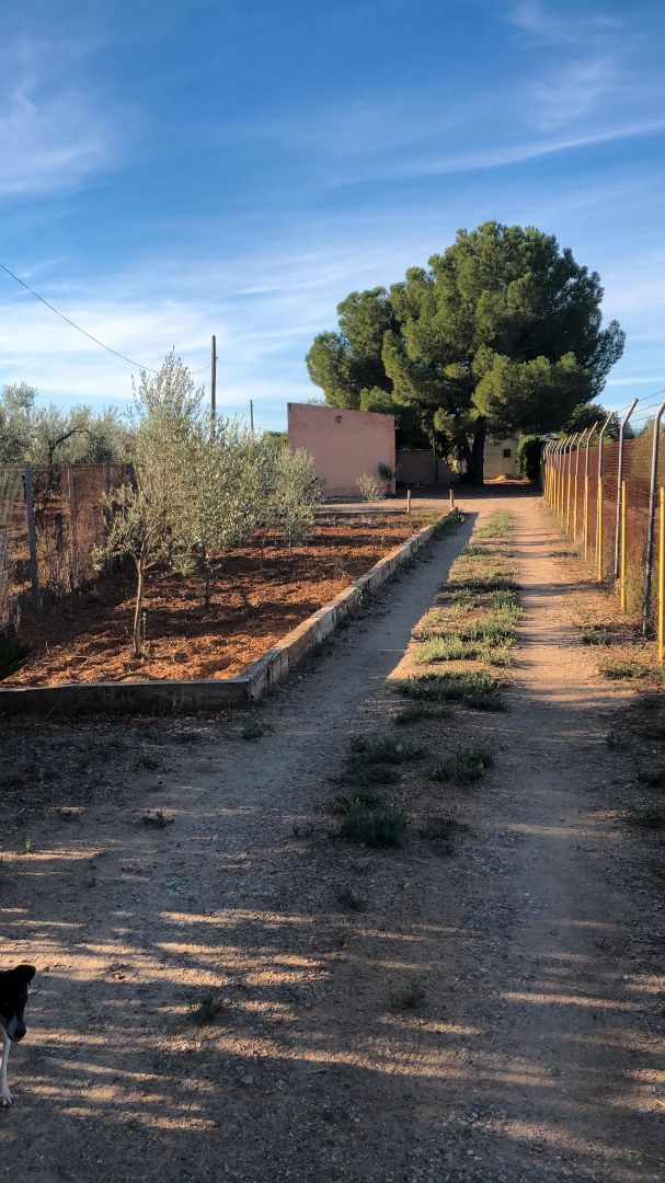 Finca rústica en venda en Villanueva del Ariscal amb Aire condicionat, Jardí privat i Traster