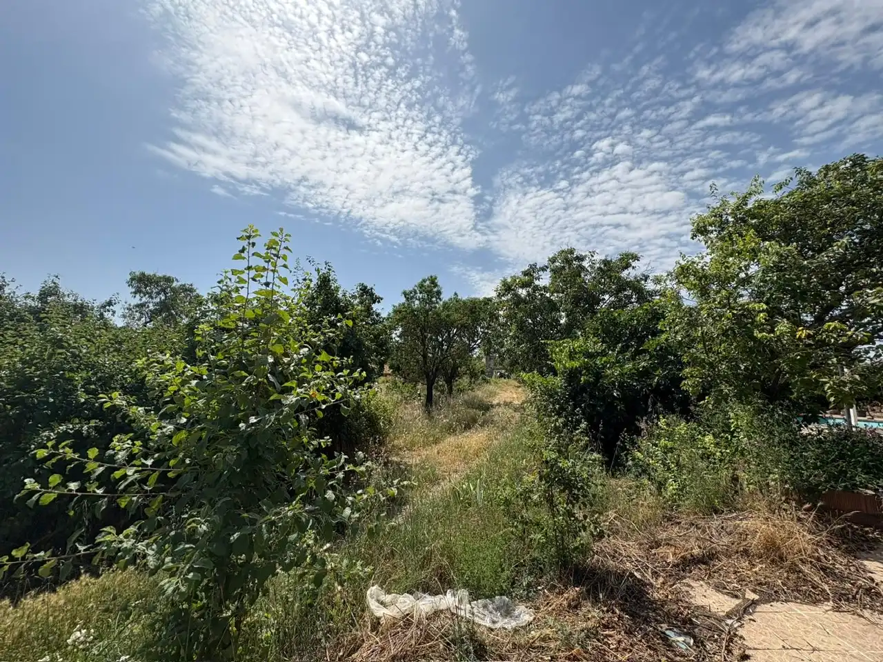 Casa o chalet en venta en Vezdemarbán con Calefacción, Jardín privado y Terraza