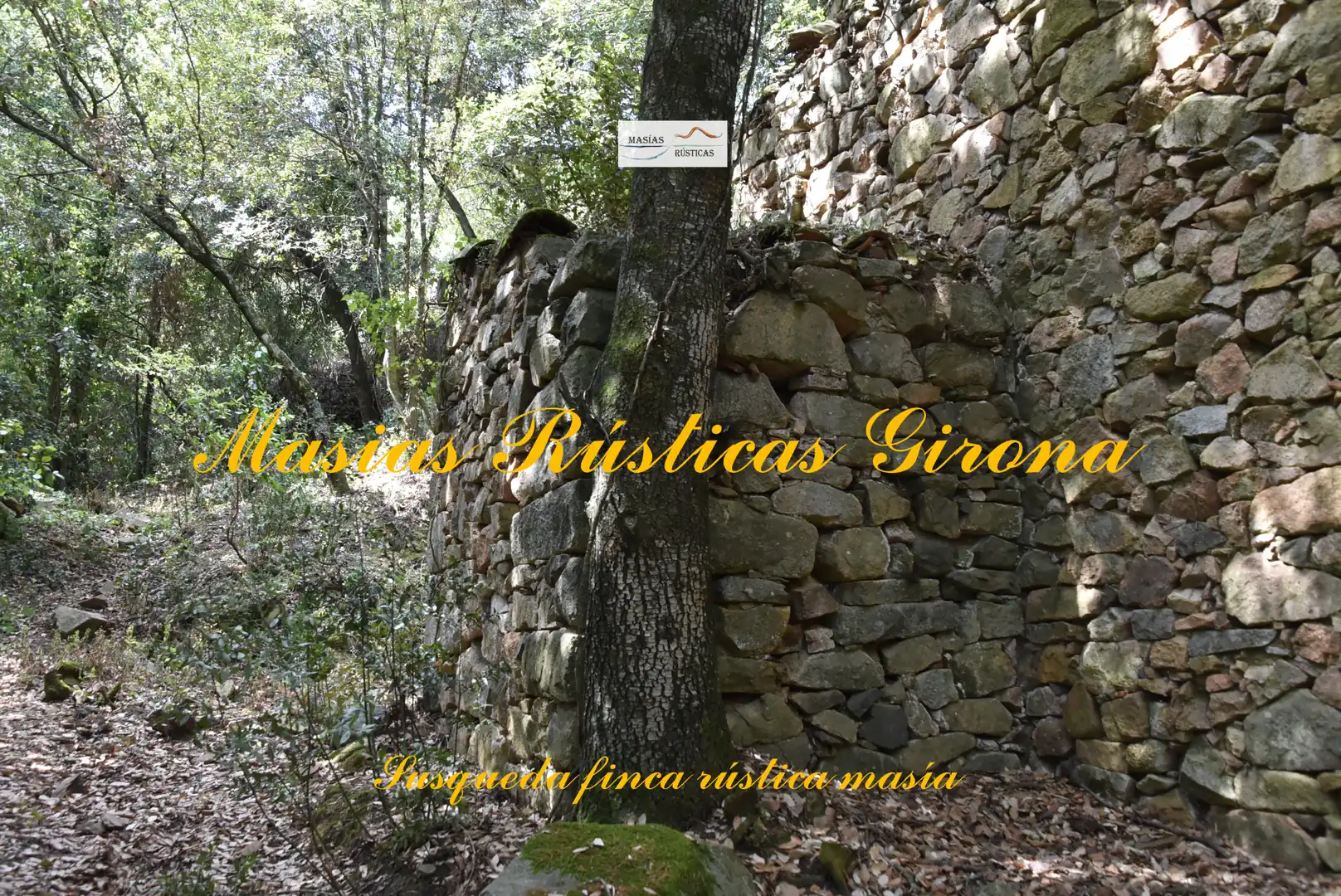 Casa rústica amb jardí en venda a Susqueda, imagen 6