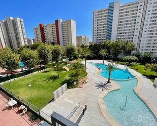 Swimming pool of Apartment for sale in Benidorm  with Terrace, Furnished and Washing machine