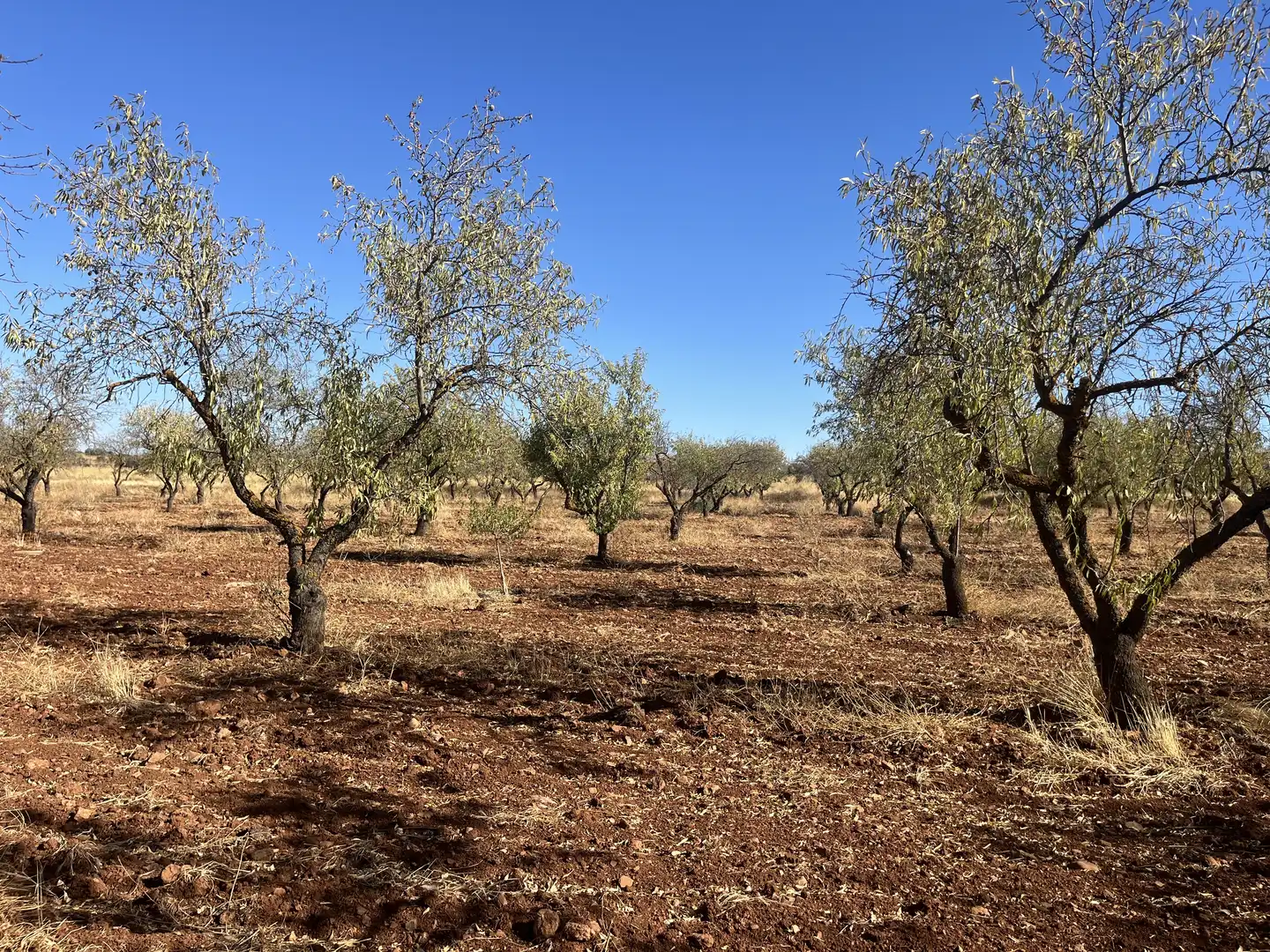 Rustikales Grundstück zum Verkauf in Avenida de Andalucía, imagen 5