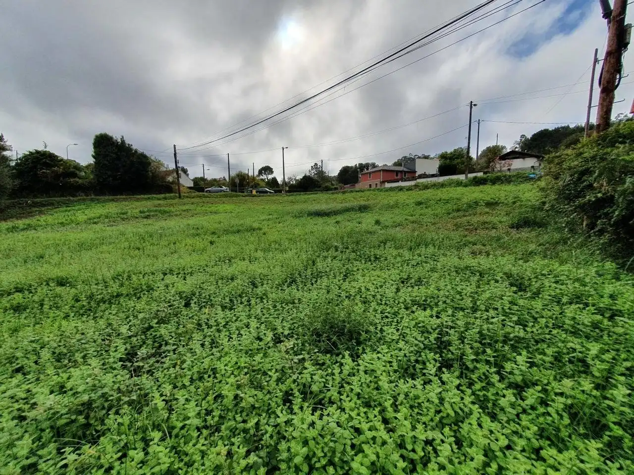 Terrenys i solars en venda a Lugar San Clemente, DP-5404, imagen 2