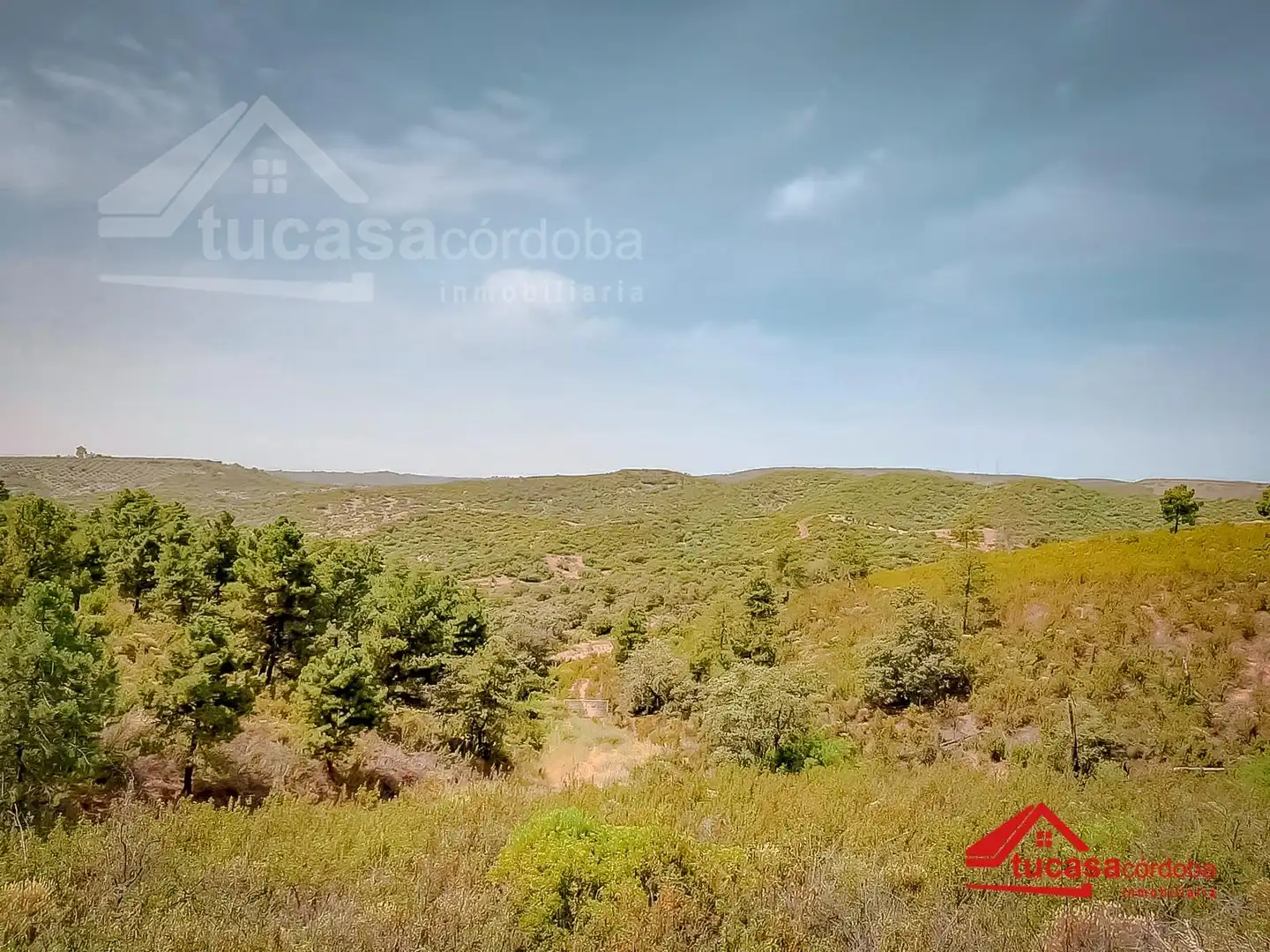 Finca rústica en venta en Montoro con Jardín privado y Parquet