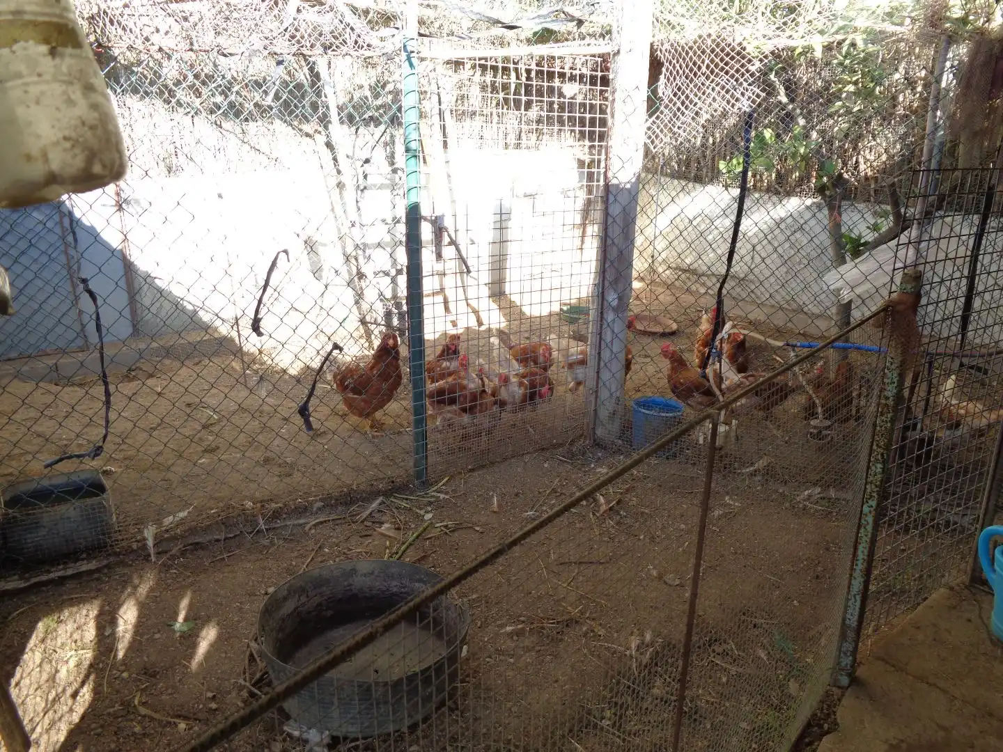 Garden of Land for sale in Calonge i Sant Antoni