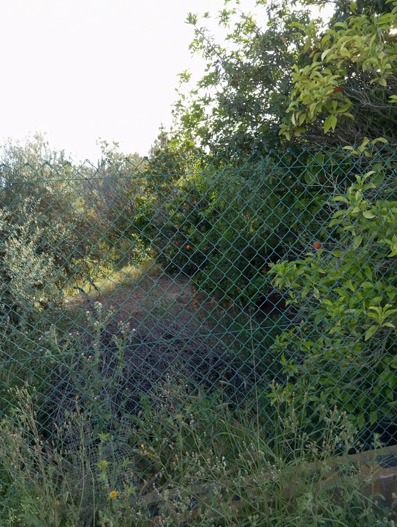 Terreny rústic en venda a Pedanías Oeste