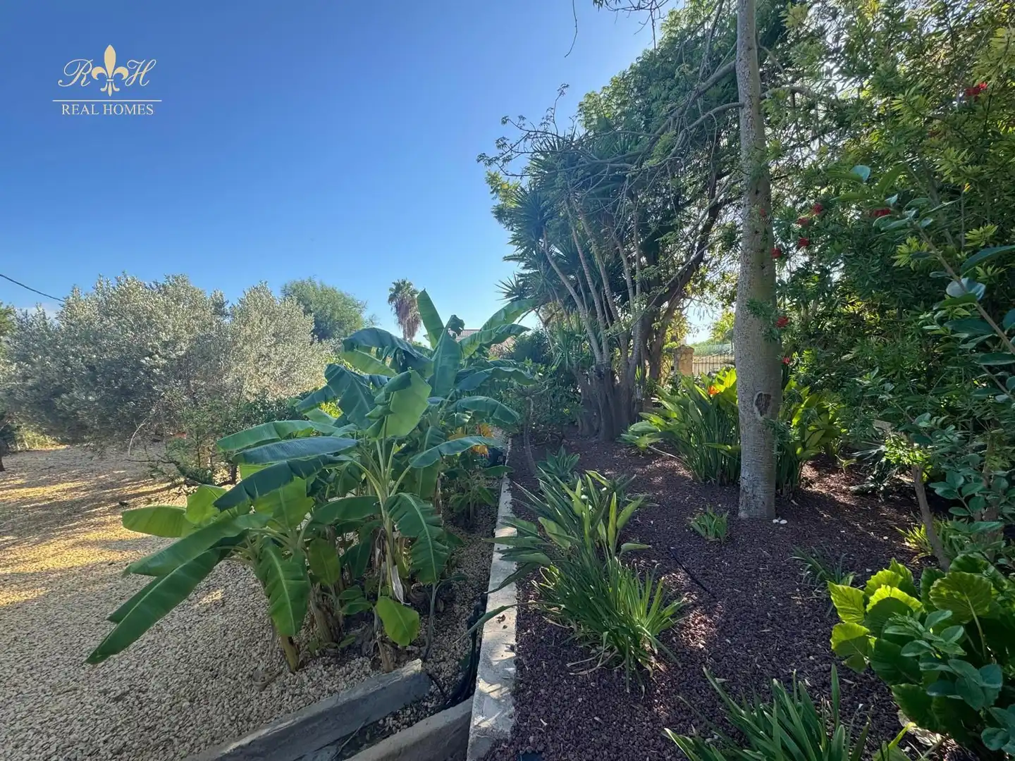 Jardín de Casa o chalet de alquiler en L'Alfàs del Pi con Aire acondicionado, Calefacción y Terraza