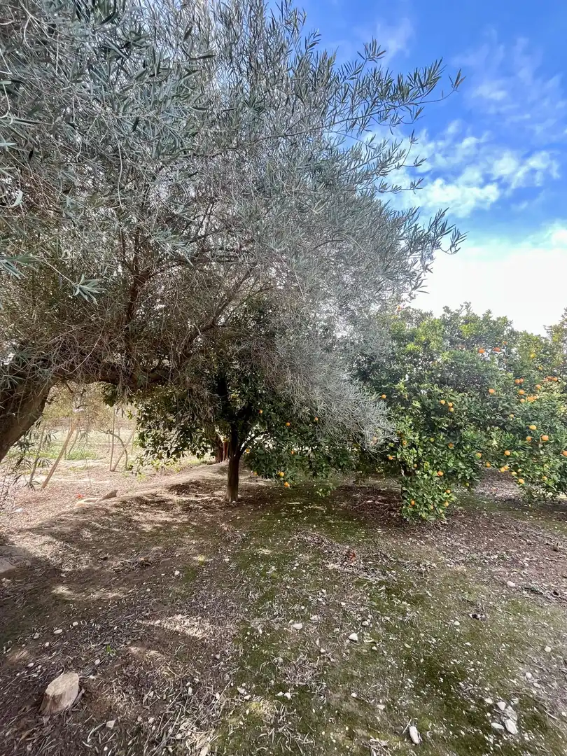 Grundstücke und Bauplätze zum Verkauf in Oria, imagen 12