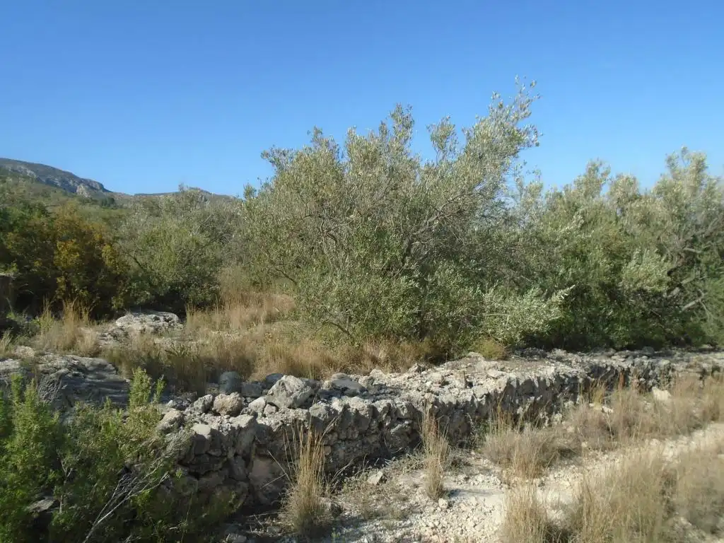 Residential land for sale in Vall D'En Pasto, imagen 4