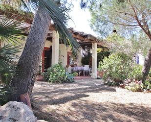 Garden of House or chalet for sale in Níjar  with Private garden and Terrace