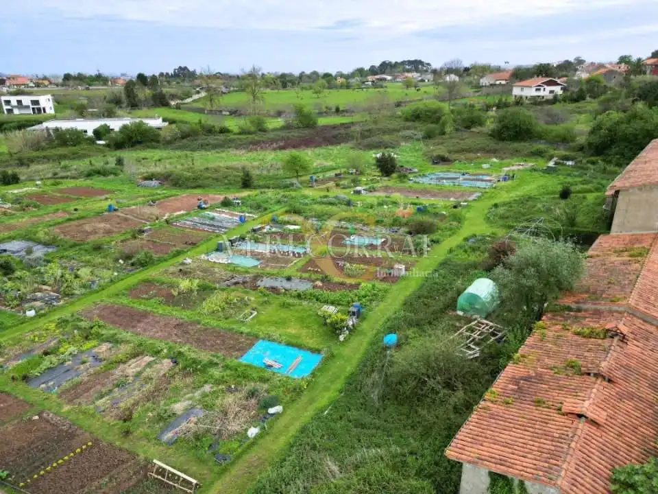Terreny residencial en venda a Camino de La Pedrera, imagen 6