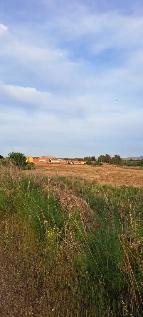 Land for sale in El Puente del Arzobispo