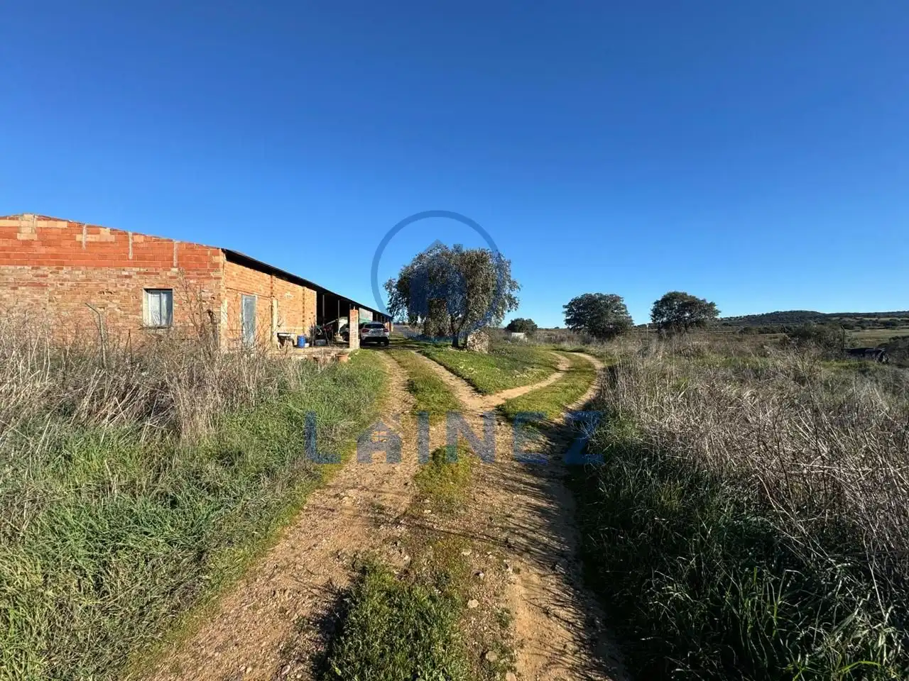 Terrains et parcelles à vendre à La Granjuela, imagen 4