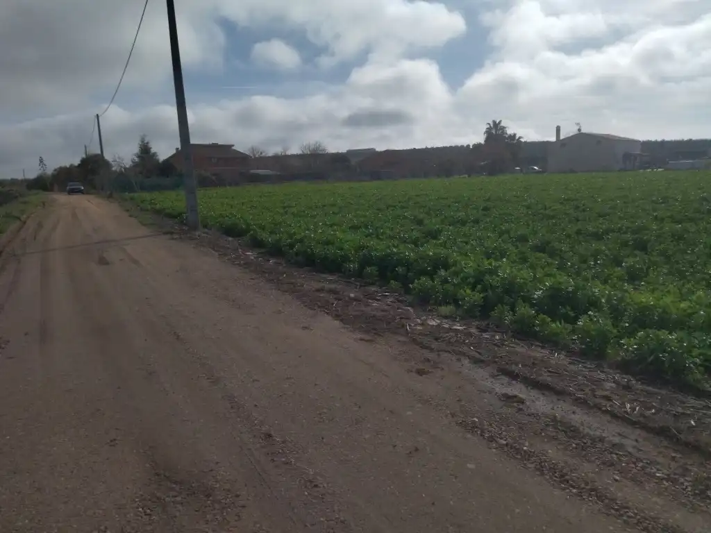 Terreno rustico in vendita a Mengabril, imagen 5