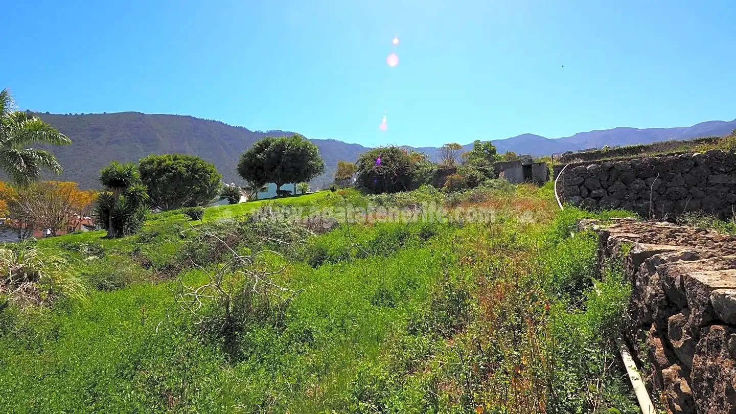 Terrenos y solares en venta en Centro, imagen 3