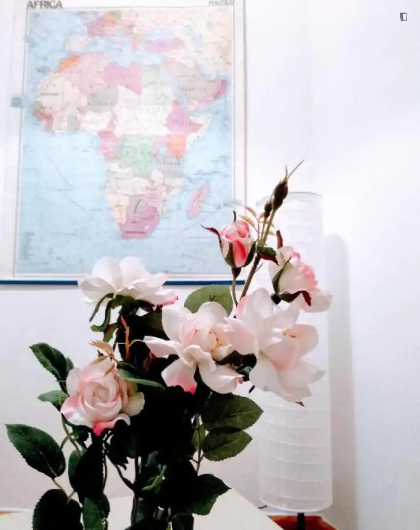 Apartament de lloguer a Ciutat Vella, imagen 6