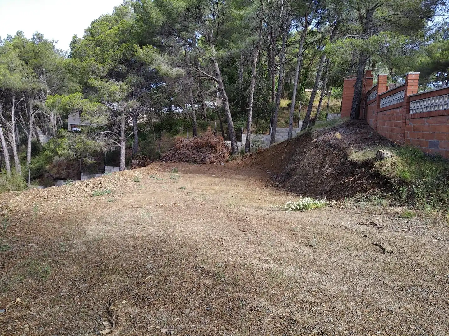 Terreni e lotti in vendita a Carrer Arbolí, imagen 6