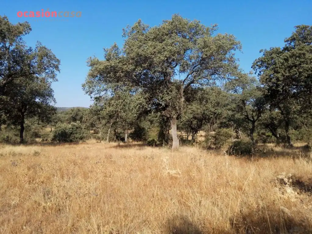 Country homes for sale in Torrecampo