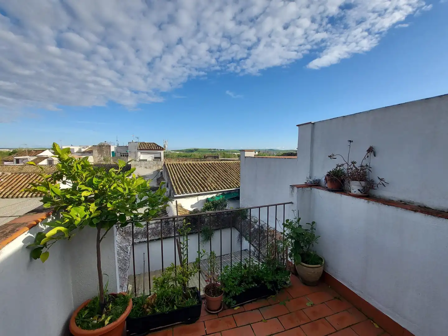 Casa amb terrassa en venda a Centro, imagen 40