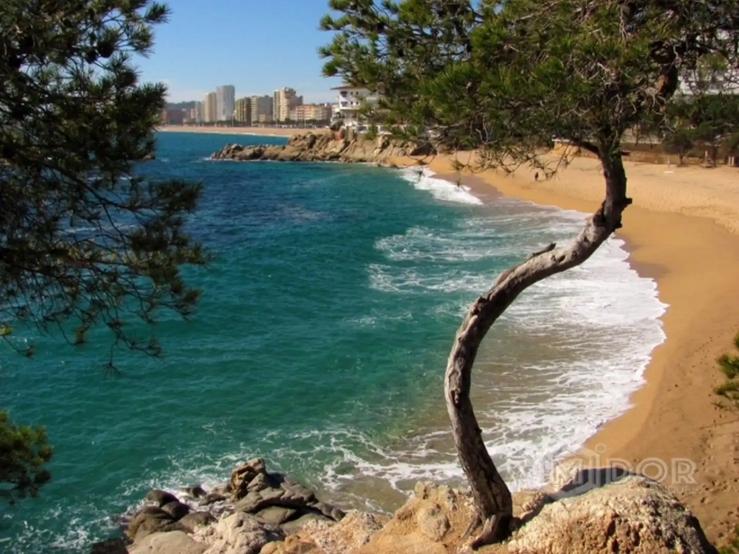 Residential land for sale in Carrer Eucaliptus, imagen 16