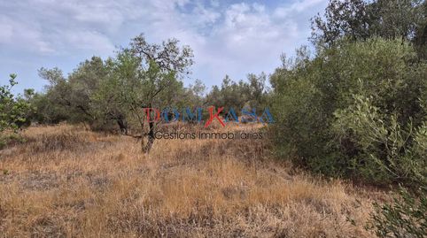 Se vende finca rustica en Roquetes., imagen 3
