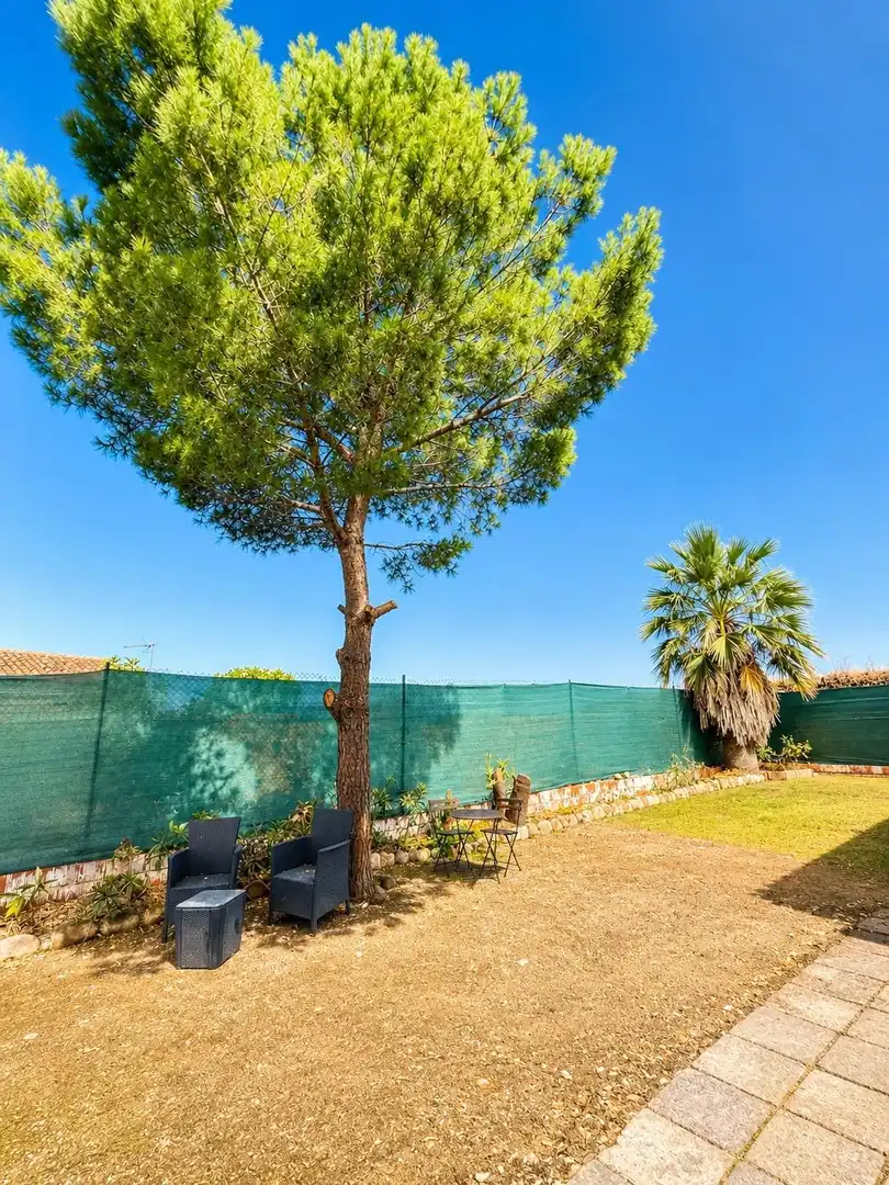 Jardí de Casa o xalet en venda en Montoro amb Jardí privat, Traster i Moblat