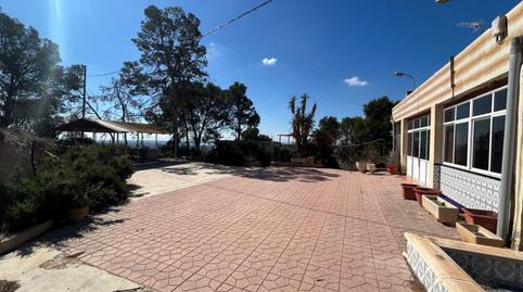 Foto 3 de Finca rústica en venta en Crevillent, Alicante