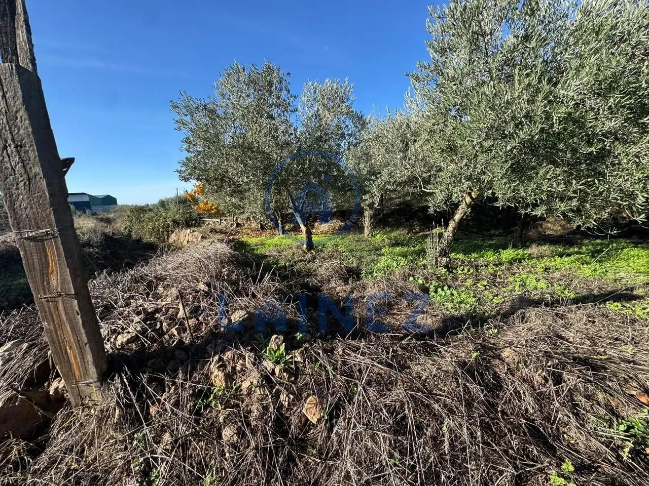 Terreno en venta en La Granjuela