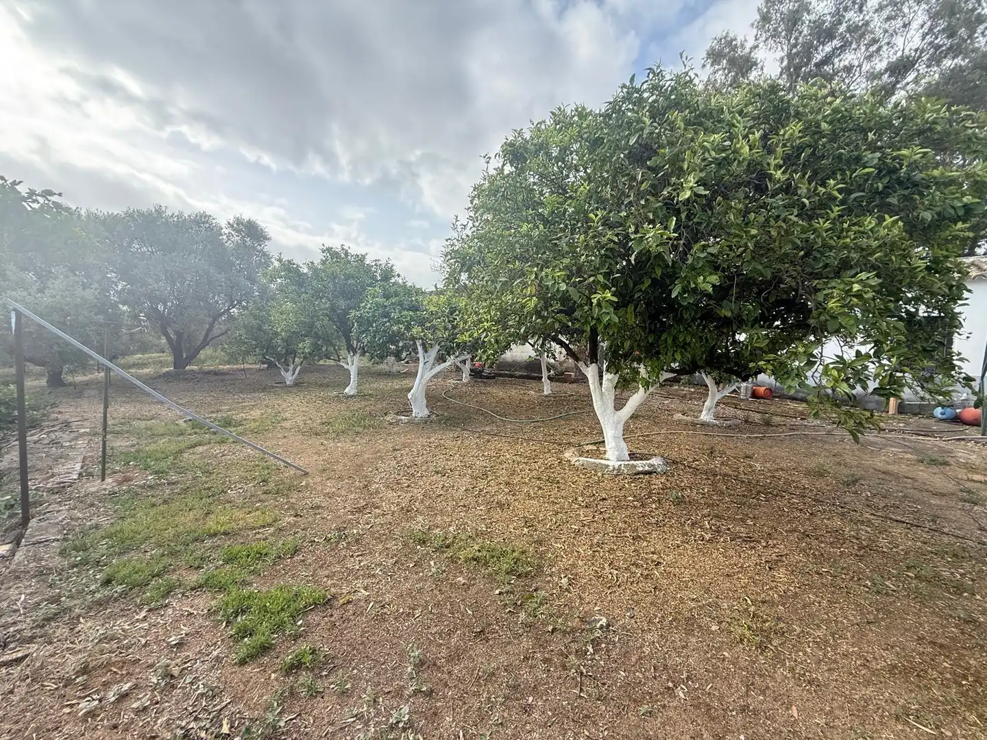 Terreno en venta en Guadalcázar
