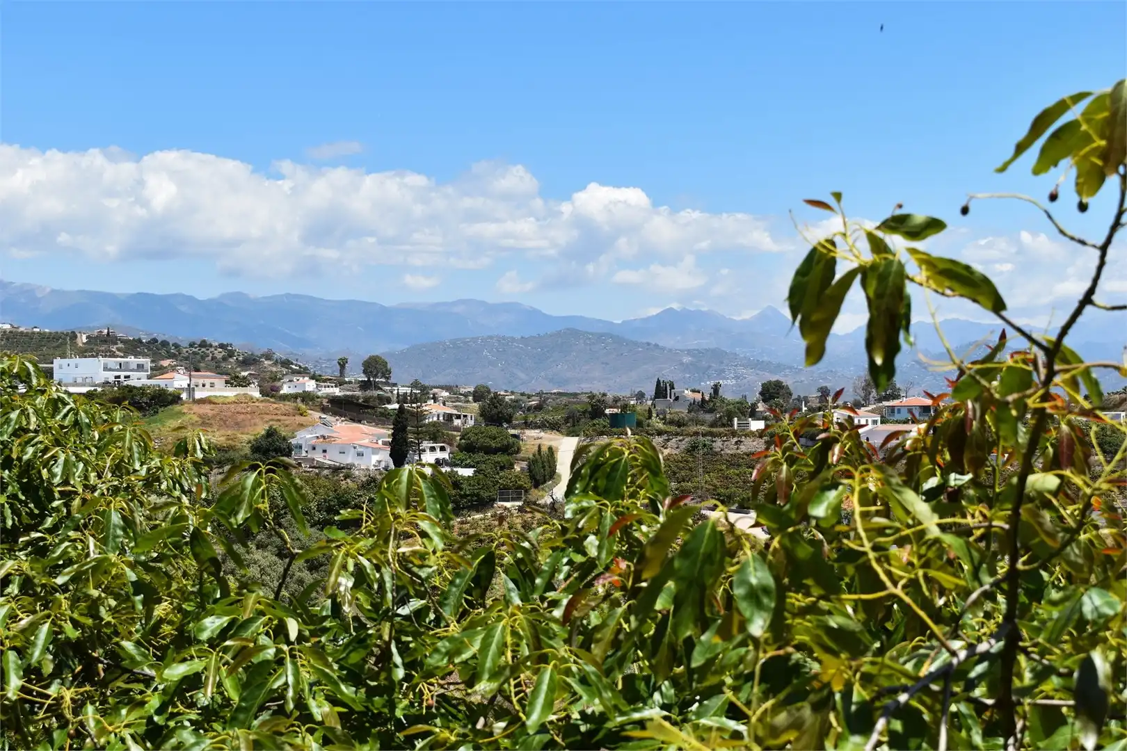 Exterior view of Country homes for sale in Vélez-Málaga