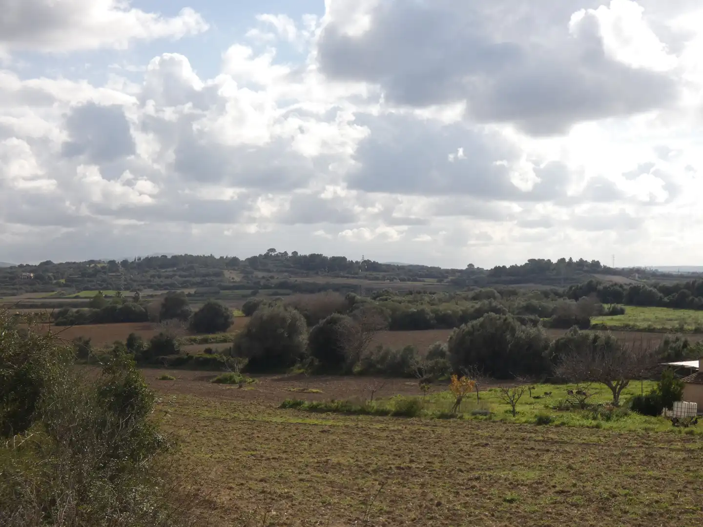 Terrain rustique à vendre à Muro