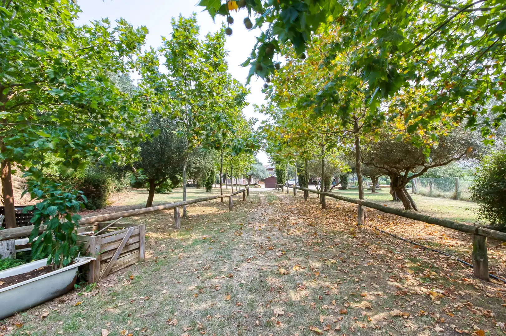 Xalet amb piscina en venda a Sant Gregori, imagen 40