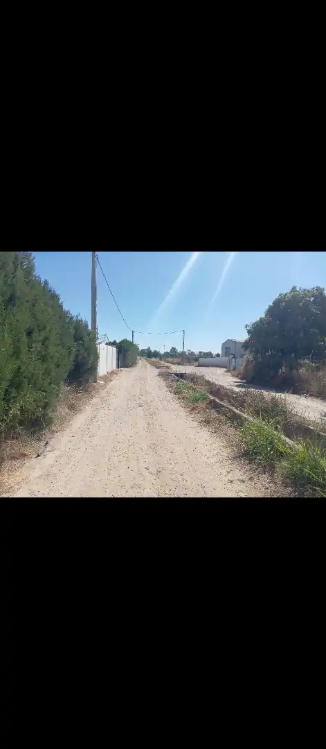 Terreno rustico in vendita a Avenida de la Quinta 17, imagen 6
