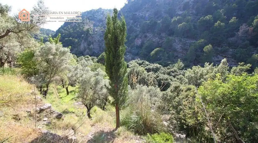Terreny rústic en venda a Carretera Ma-11A 52, imagen 4