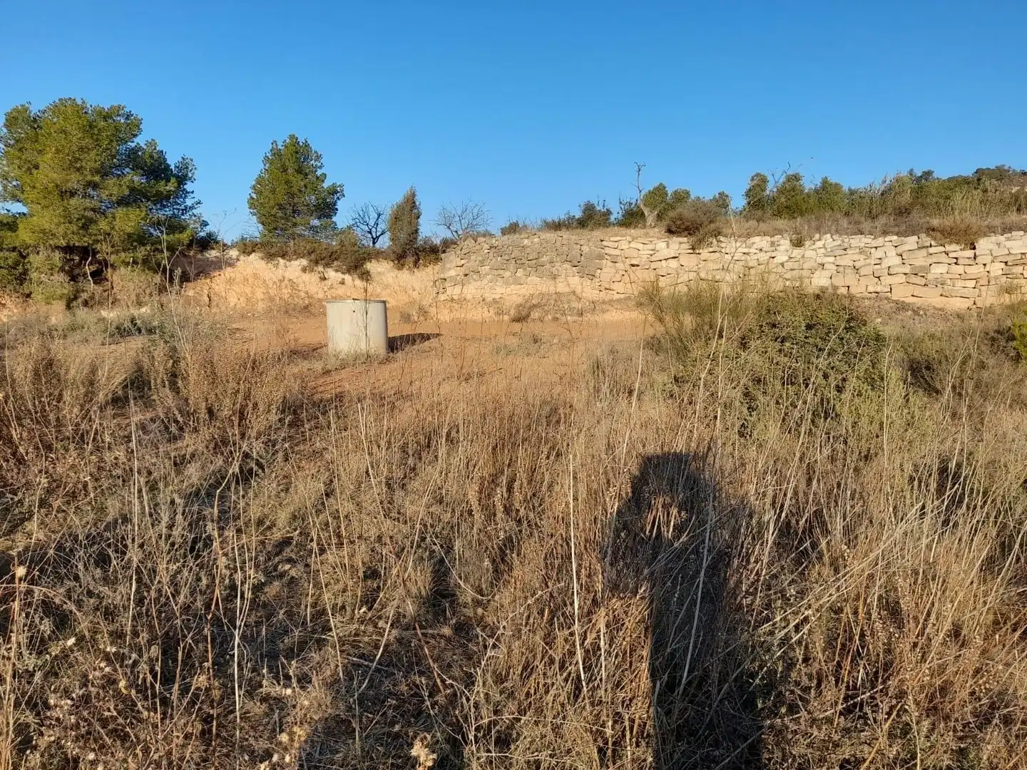 Terreno rústico en venta en Corbera d'Ebre, imagen 23