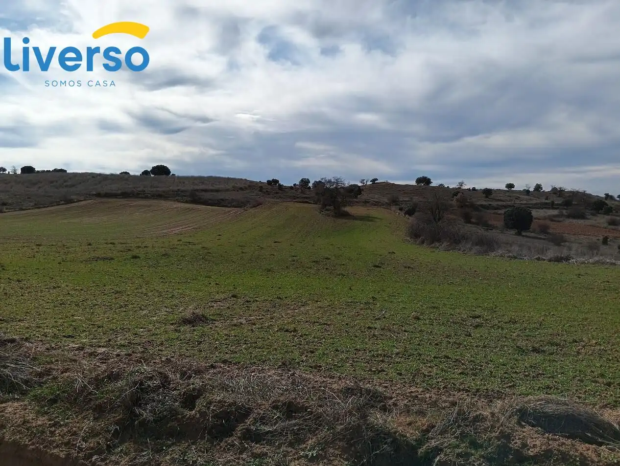 Terreno rústico en venta en Zona Rural, imagen 6
