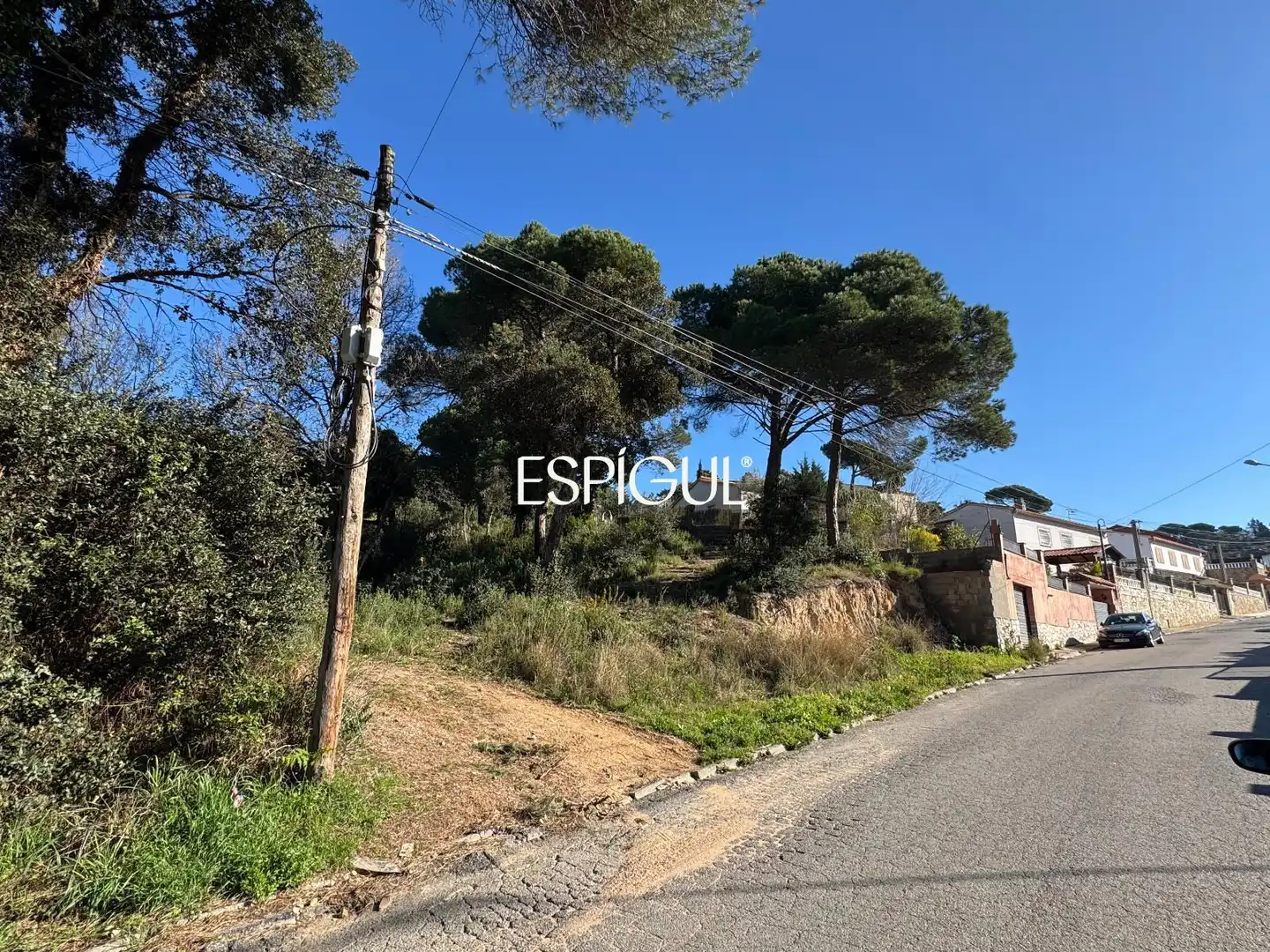 Terreno rústico en venta en Arboç, imagen 20