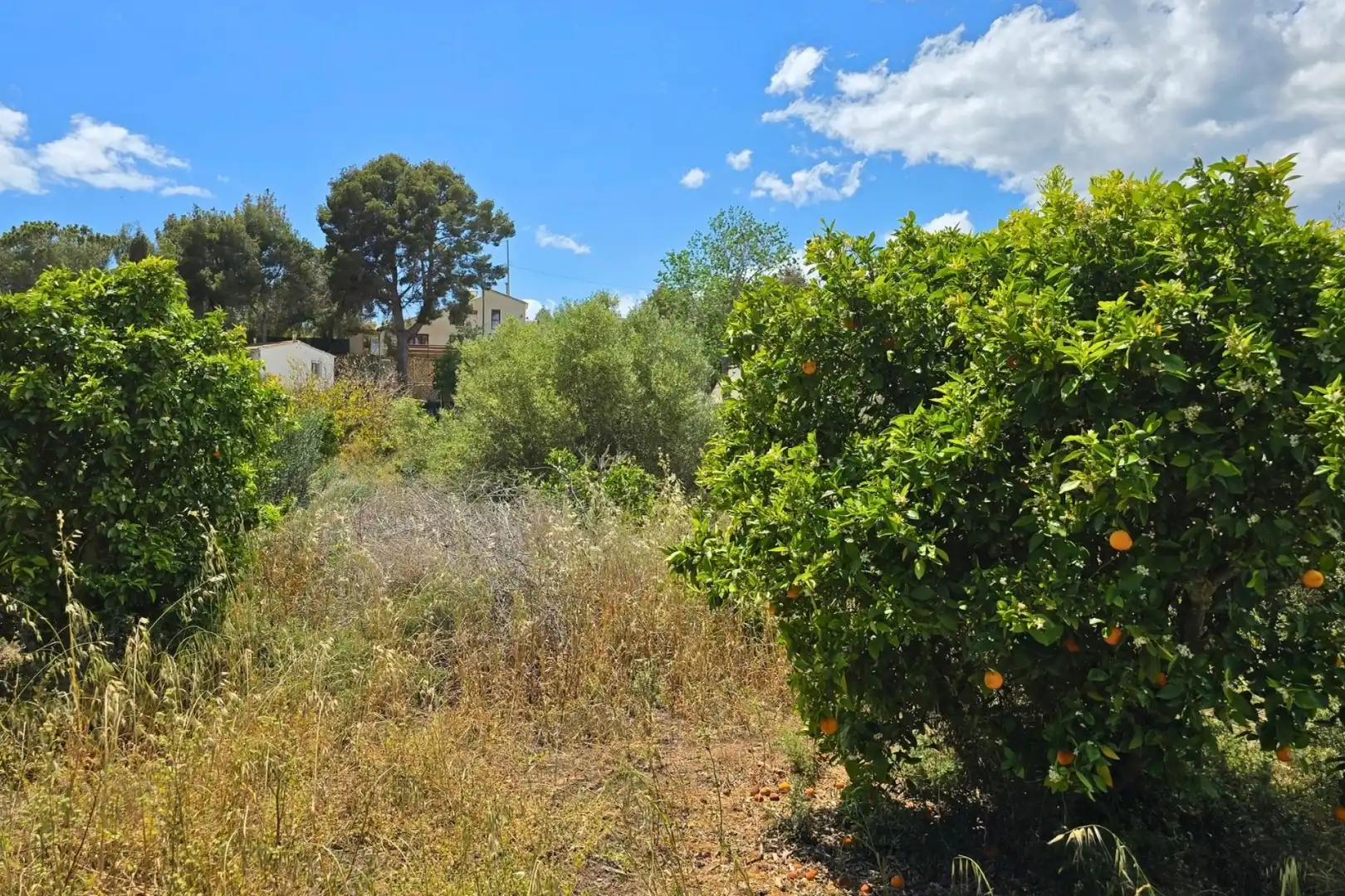 Terrenos y solares en venta en Escandinavia - Cautivador, imagen 16