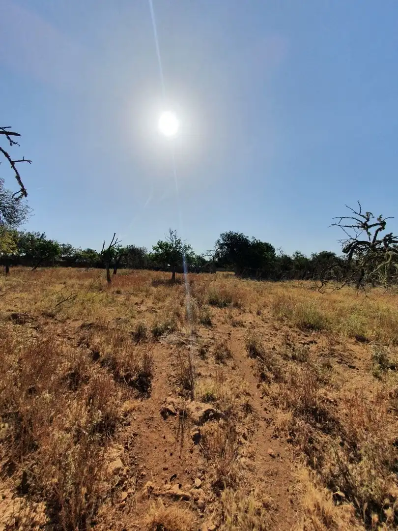 Finca rústica en venda en Santa Margalida