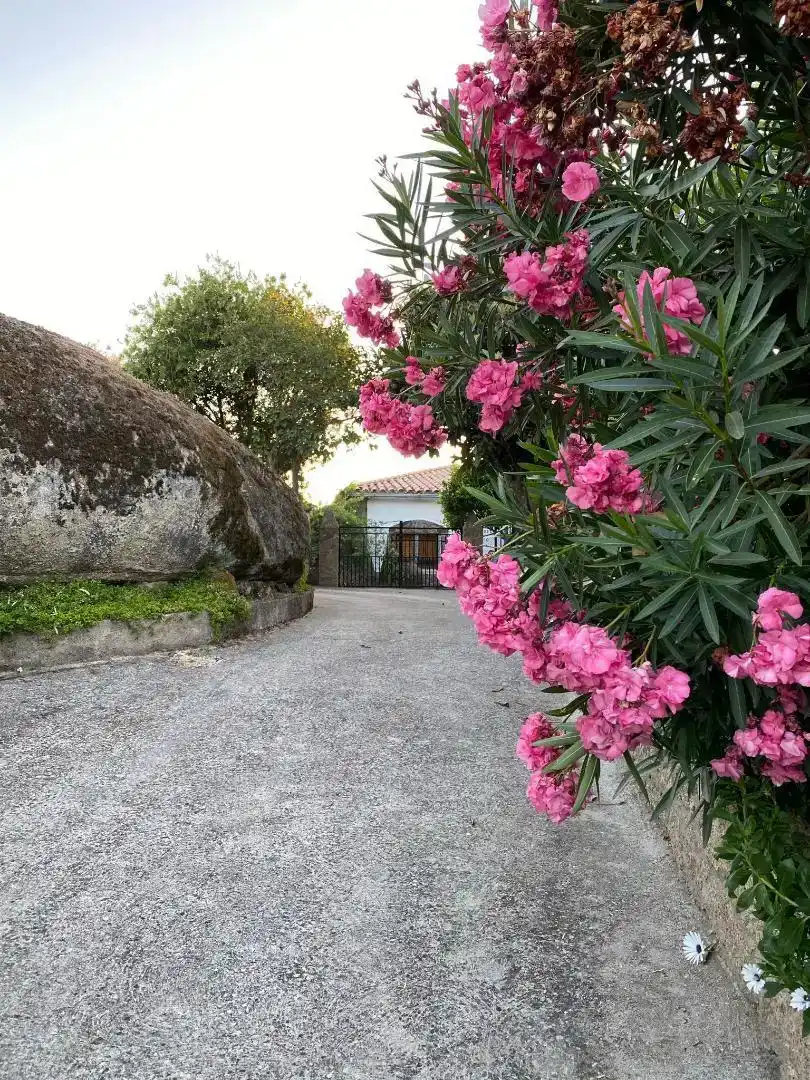 Vista exterior de Casa o xalet en venda en Valencia de Alcántara amb Aire condicionat i Balcó
