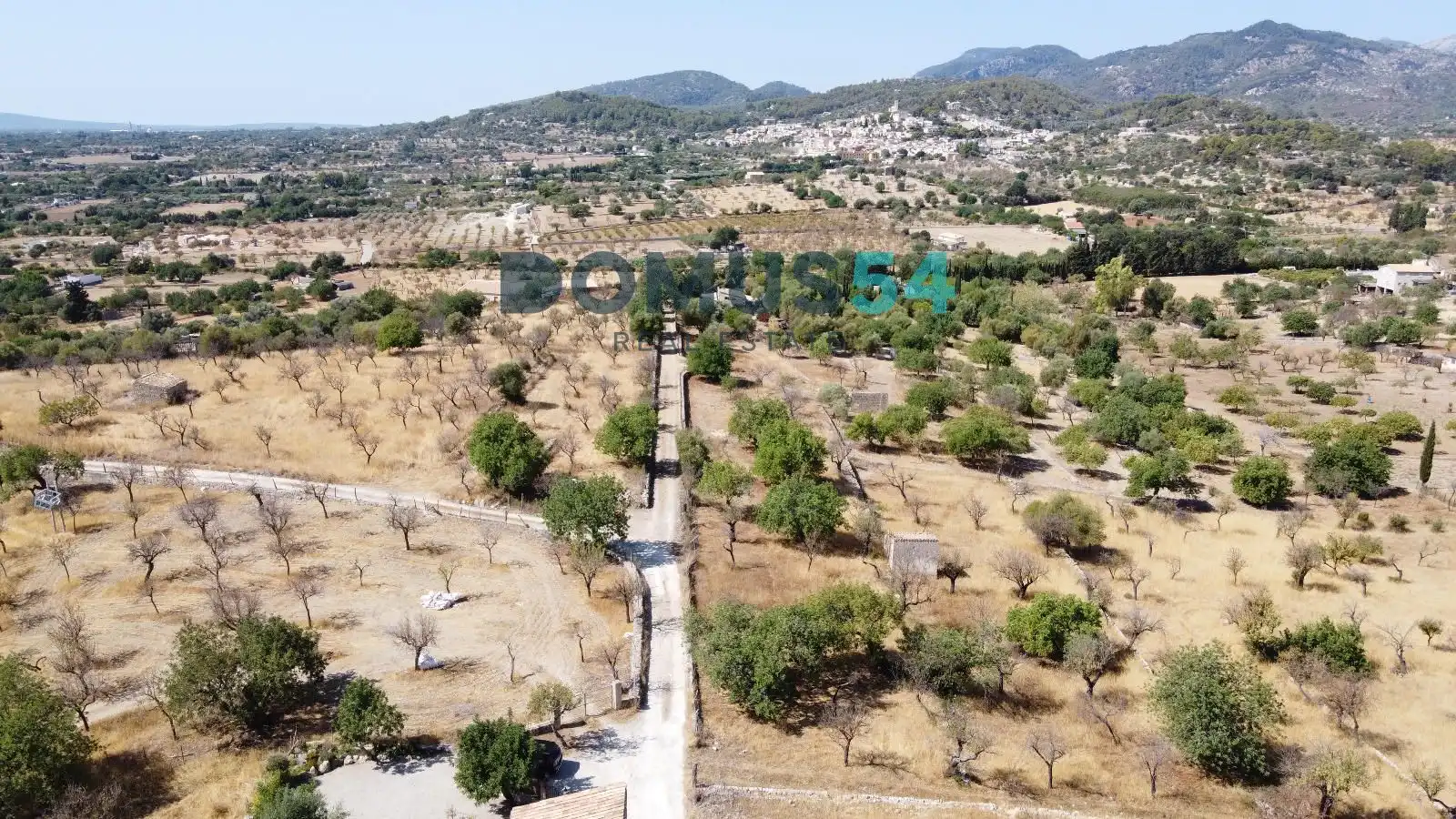 Land for sale in Selva