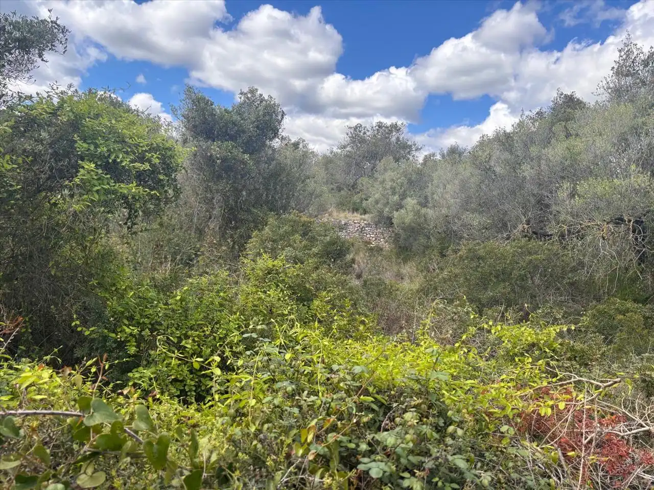 Residential land for sale in Fondo Masia D'En Perris, Urb. Mas Tapet, imagen 3