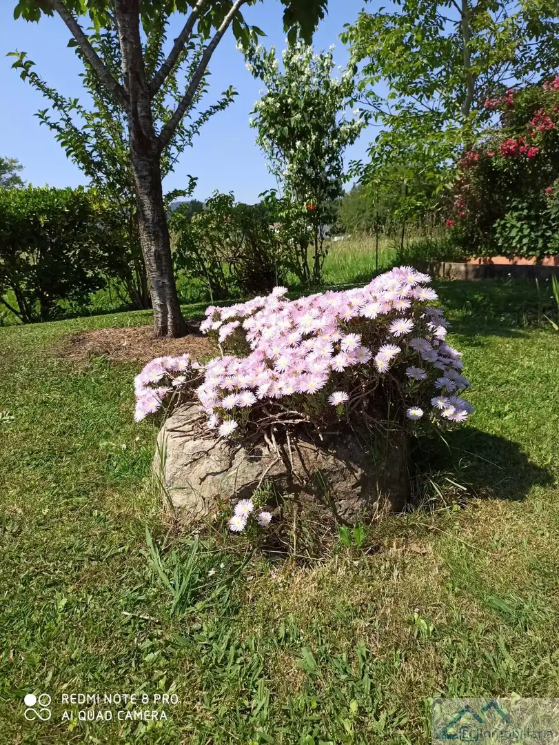 Finca rústica en venta en Barrio el Bardal, Zurita