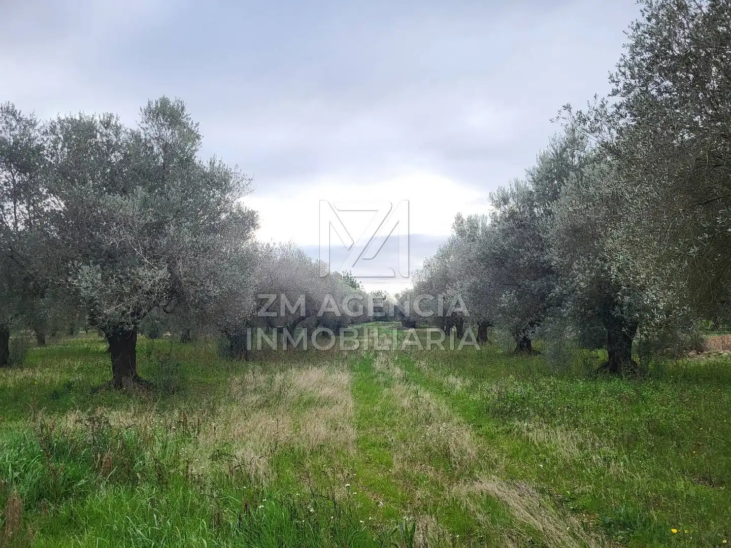Terreno rustico in vendita a Cabanes, imagen 23